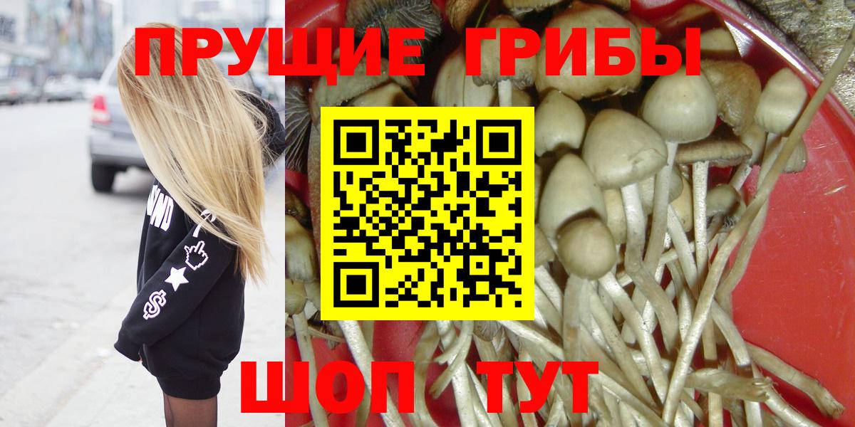 Псилоцибиновые грибы Psilocybe Урус-Мартан