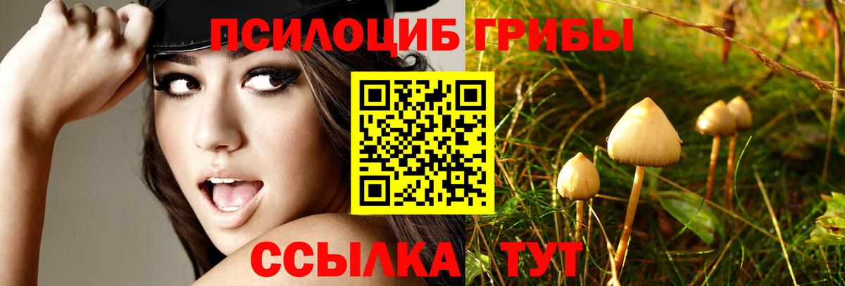 Галлюциногенные грибы Psilocybe  Вход с VPN  Галлюциногенные грибы ЛСД  Урус-Мартан 
