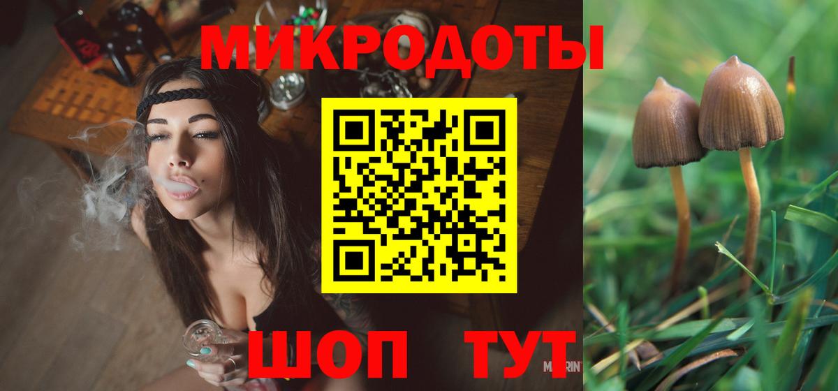 Псилоцибиновые грибы мухоморы Урус-Мартан